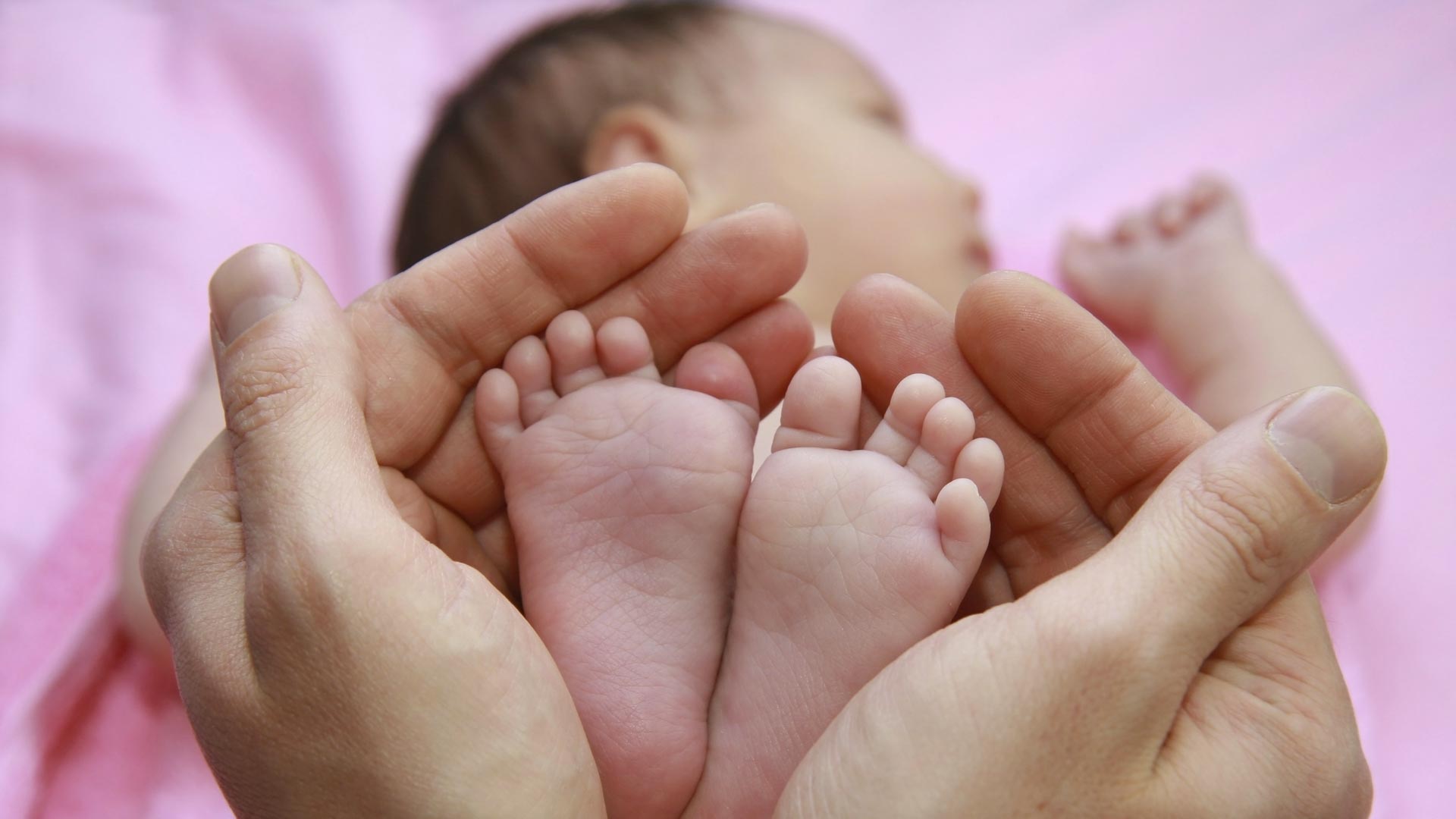 Curso de Medicina Materno-Fetal 2023